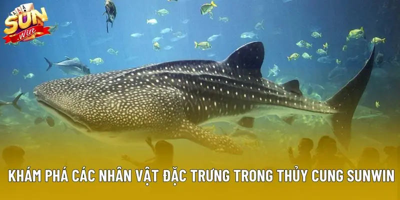 Khám phá các nhân vật đặc trưng trong Thủy Cung Sunwin Khám phá các nhân vật đặc trưng trong Thủy Cung Sunwin